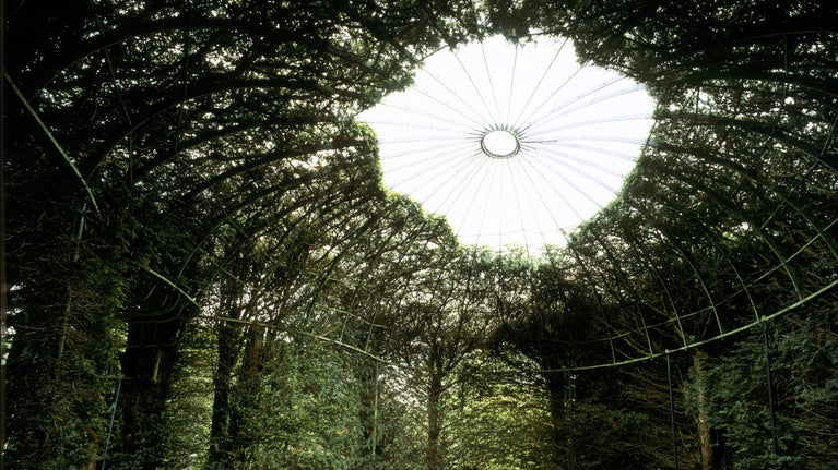 Inside the yew arbour trained on a metal geometric framework in the Pleasure Ground at The Argory, County Armagh, Northern Ireland
